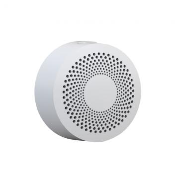 Wireless Gas Detector